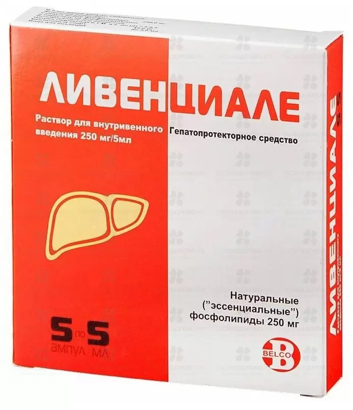 Ливенциале раствор для внутривенного введения 250мг/5мл 5мл ампулы №5 ✅ 01064/06325 | Сноваздорово.рф