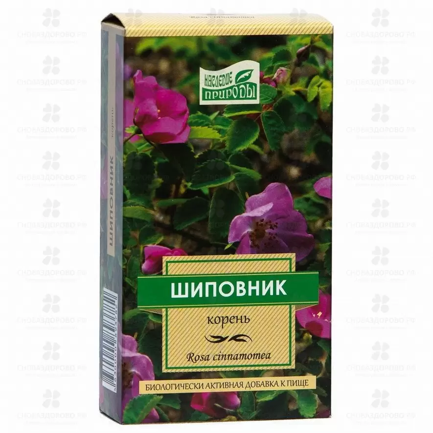 Шиповник корень 50г (БАД) ✅ 25011/06261 | Сноваздорово.рф