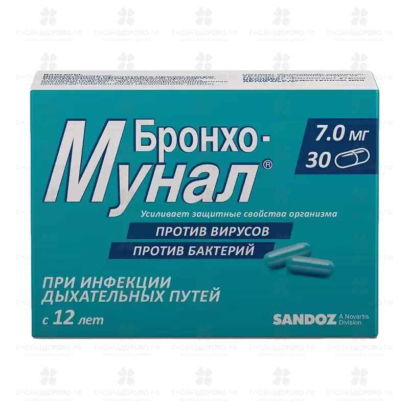 Бронхо-мунал капсулы 7мг №30 ✅ 16876/06154 | Сноваздорово.рф
