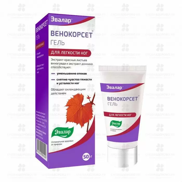Венокорсет гель 50мл ✅ 18042/06218 | Сноваздорово.рф