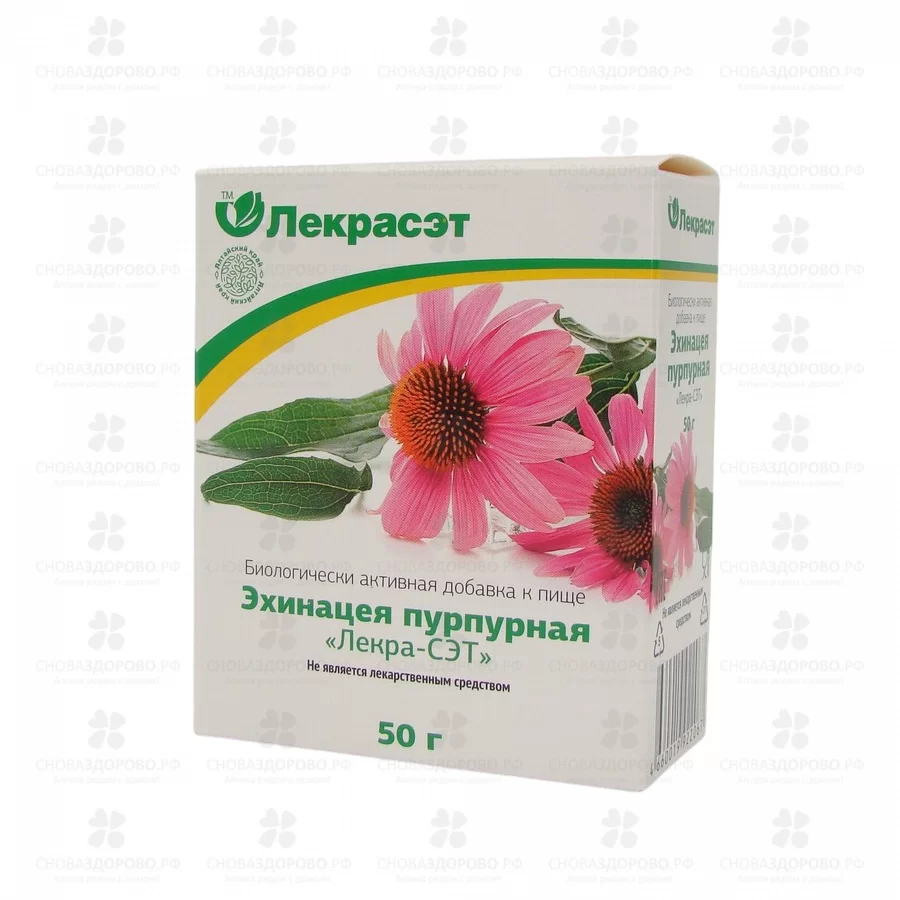 Эхинацеи пурпурной трава 50г (БАД) ✅ 42538/06810 | Сноваздорово.рф