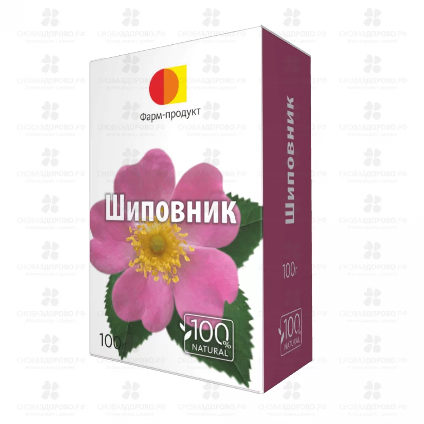 Шиповник плоды 100г (БАД) ✅ 06699/06910 | Сноваздорово.рф